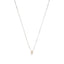 Inherit Necklace S