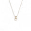 Inherit Necklace S